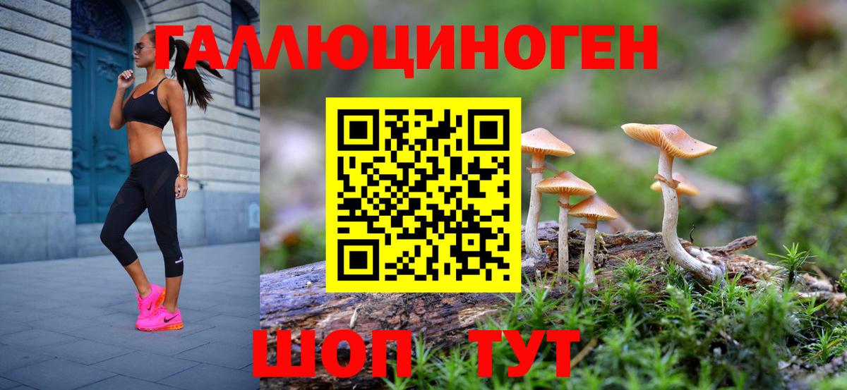 Псилоцибиновые грибы MAGIC MUSHROOMS Азов